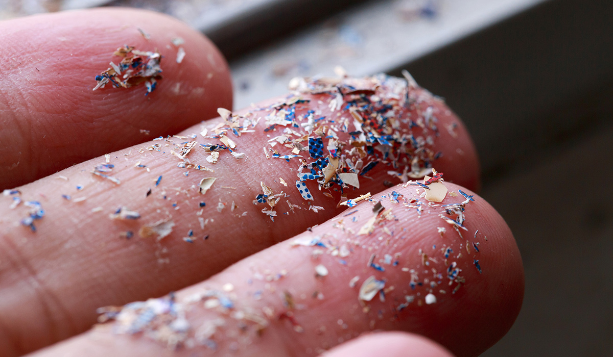 A close up sho of microplastics on some fingertips.
