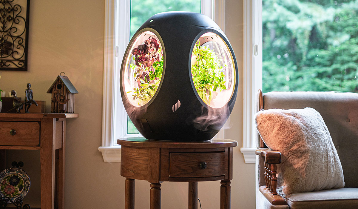 A gardening pod sits on a living room table.