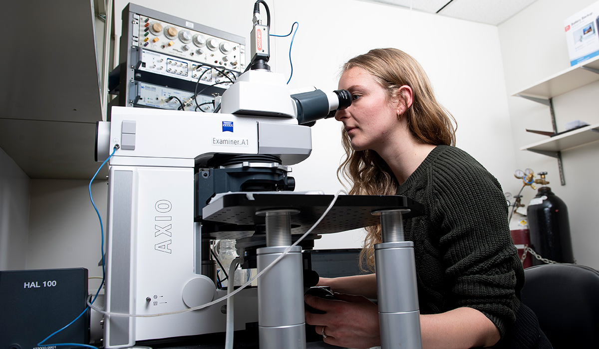 A young woman looks through a high-powered microscrope conducting research on alleviating chronic pain.